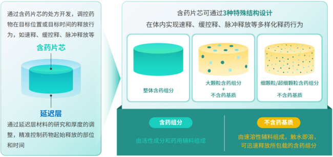 三迭纪3D微结构调释平台结构设计